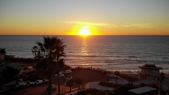 Low aerial view of the beach, palm trees and the ocean in Encinitas.