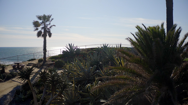Elevated view of a park, palm trees and the ocean in Solana Beach.