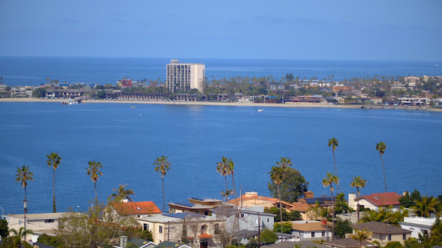 Elevated view of a residential street, boats and palm trees in Mission Bay.