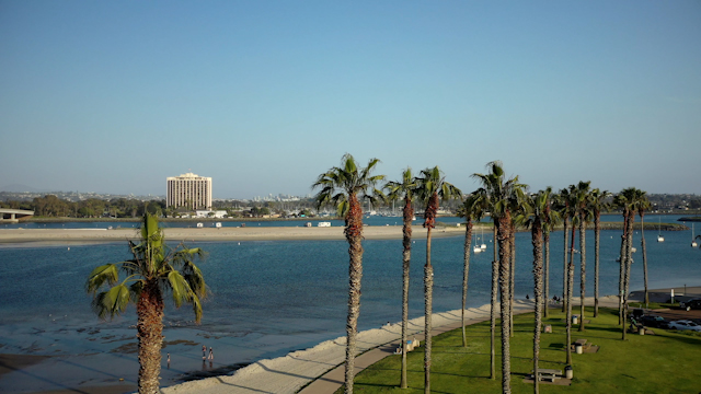 Low aerial view of the beach, boats and palm trees in Mission Bay, with people walking.