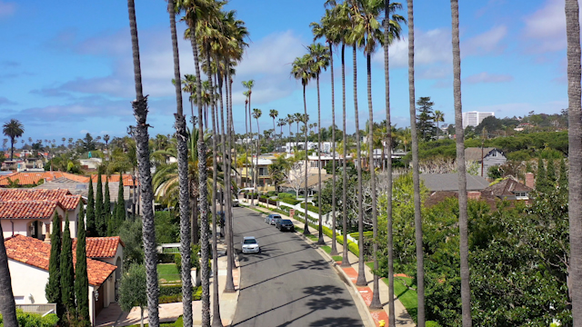 Low aerial view of a residential street, palm trees and homes in La Jolla.
