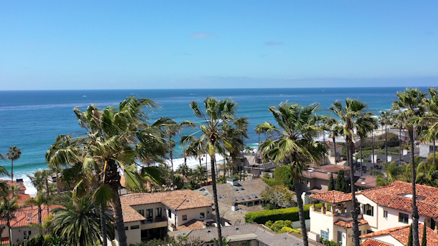 Low aerial view of a residential street, palm trees and the ocean at Windansea.