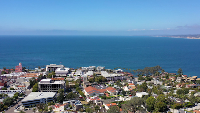 Aerial view of the cliffs, palm trees and the ocean at La Jolla Cove.