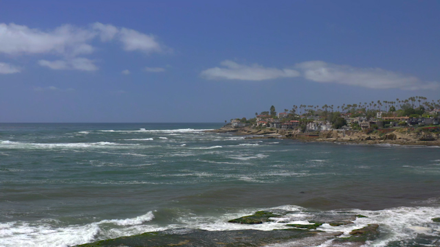 Low aerial view of the cliffs, the surf and palm trees at Bird Rock.