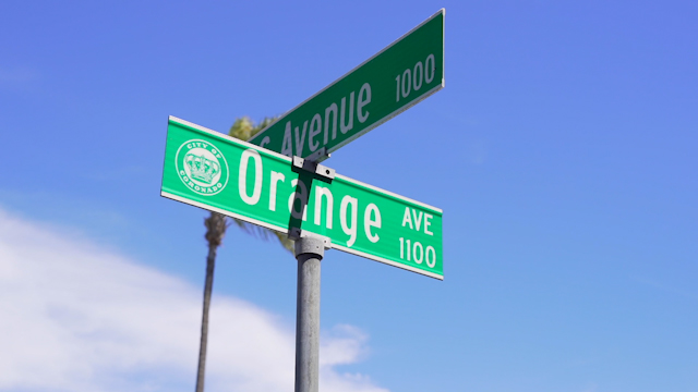 Close view of a residential street and palm trees in Coronado.