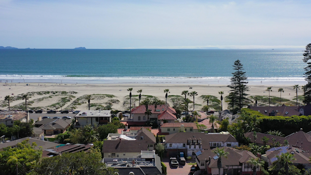 Aerial view of a residential street, palm trees and the ocean in Coronado, with people walking.