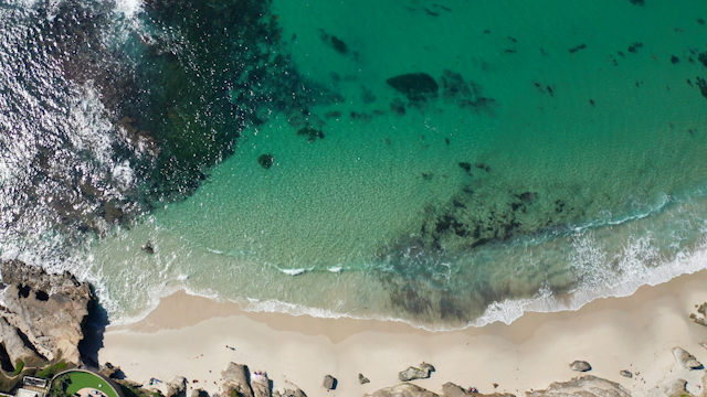 Aerial view of the beach, the surf and the ocean at Windansea.