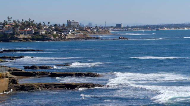 The cliffs, the surf and palm trees at Windansea.