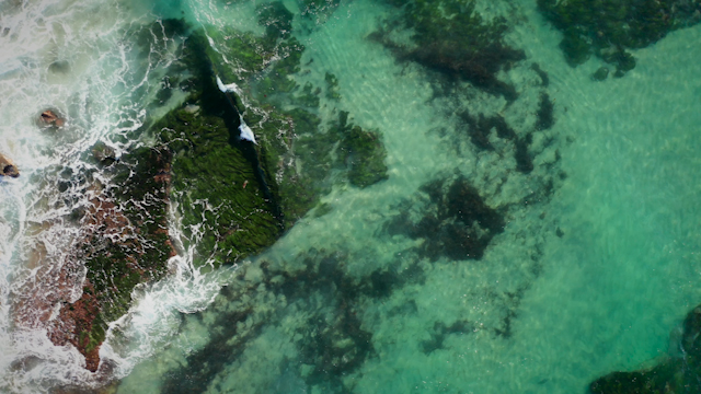 Aerial view of the beach, the surf and the ocean at Windansea.