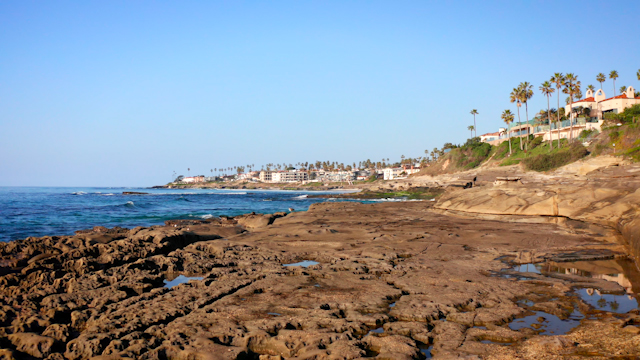 Low aerial view of the cliffs, palm trees and the ocean at Windansea.