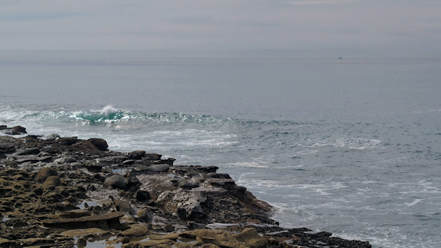 The cliffs, the surf and the ocean at Windansea.