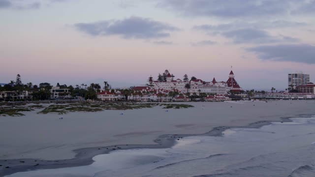 Low aerial view of the beach, palm trees and the ocean at Coronado Beach.
