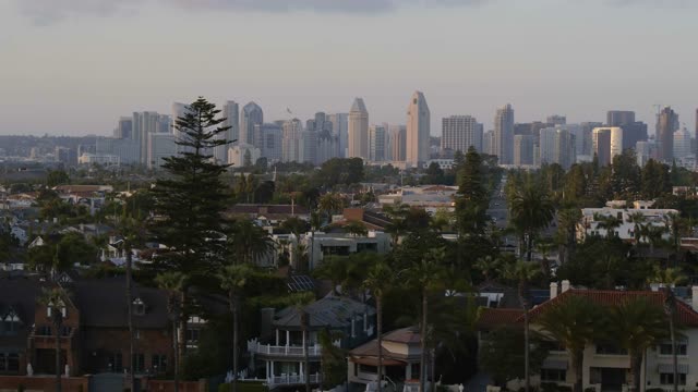 Low aerial view of a residential street, the skyline and palm trees at Coronado Beach.