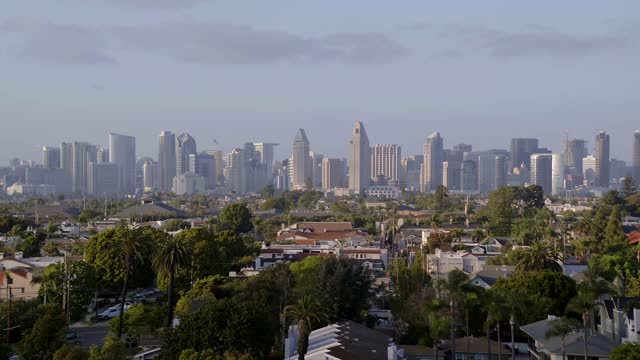 Low aerial view of a residential street, the skyline and palm trees at Coronado Beach.