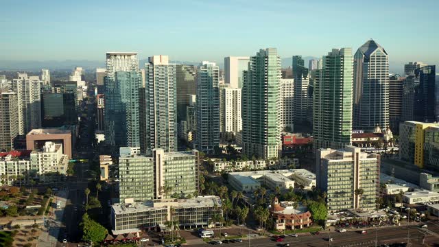 Aerial view of the downtown streets, the skyline and palm trees at Waterfront.