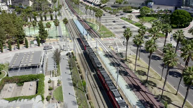 Aerial view of the downtown streets, palm trees and the buildings at Marina.