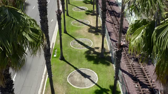 Low aerial view of the downtown streets, palm trees and traffic at Marina.