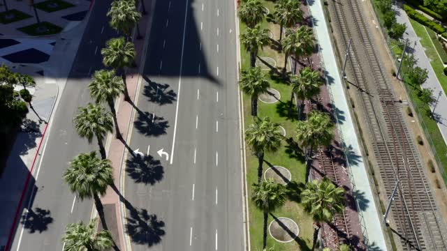 Aerial view of the downtown streets, palm trees and the buildings at Marina.