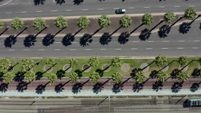 Aerial view of the downtown streets, palm trees and the city at Marina.