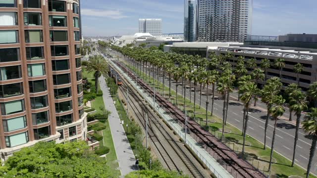 Low aerial view of the downtown streets, palm trees and the buildings at Marina.