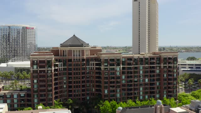 Low aerial view of the downtown streets, the skyline and palm trees at Marina.