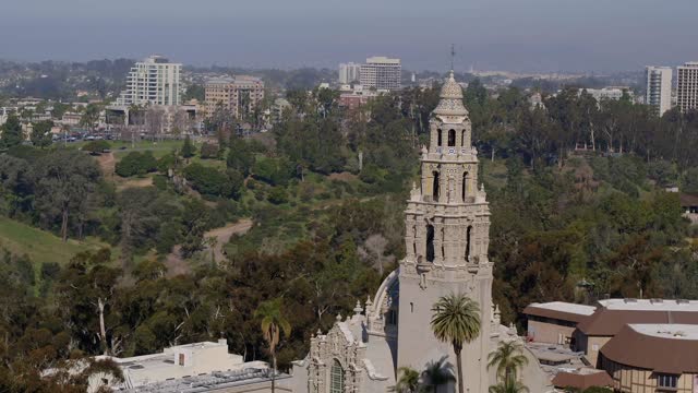 Low aerial view of a park, the skyline and palm trees in Balboa Park.