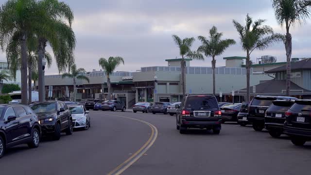 The downtown streets, palm trees and the buildings at La Jolla Village.