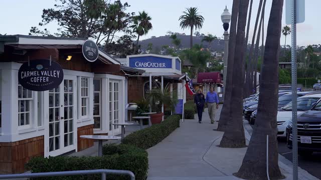 The downtown streets, palm trees and the buildings at La Jolla Village, with people walking.