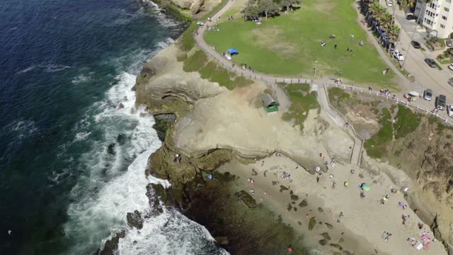 Aerial view of the beach, the surf and palm trees at La Jolla Cove, with a crowd gathered.