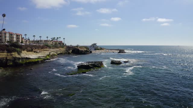 Low aerial view of the cliffs, palm trees and the ocean at La Jolla Cove.