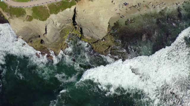 Aerial view of the cliffs, the surf and the ocean at La Jolla Cove.