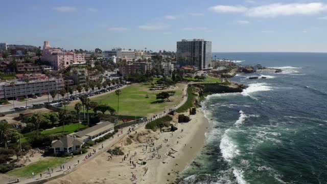 Aerial view of the beach, the surf and palm trees at La Jolla Cove, with people walking.