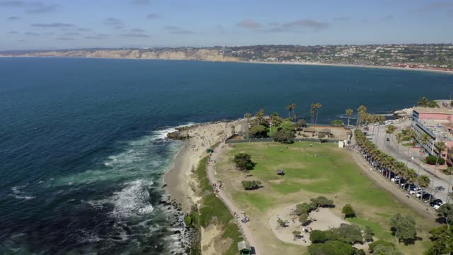 Aerial view of the beach, palm trees and the ocean at La Jolla Cove.