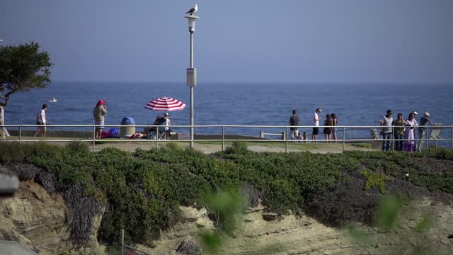 Elevated view of the cliffs, palm trees and the ocean at La Jolla Cove, with a crowd gathered.