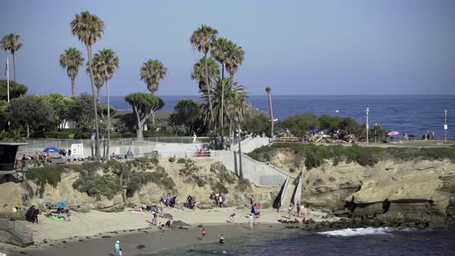 Elevated view of the cliffs, palm trees and the ocean at La Jolla Cove, with a crowd gathered.