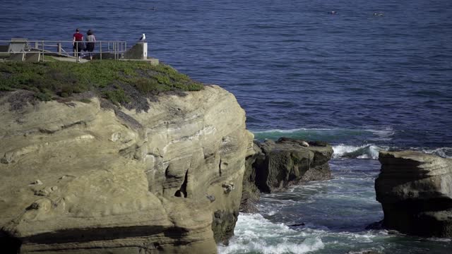 Elevated view of the cliffs, wildlife and the ocean at La Jolla Cove.