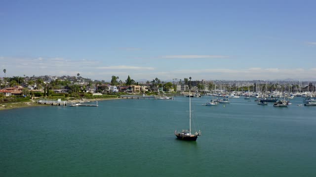 Low aerial view of the harbor, boats and palm trees in Point Loma, with boats out.