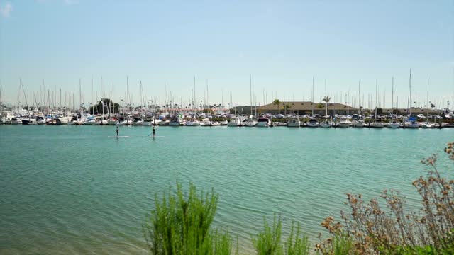 The harbor, boats and palm trees in Point Loma, with paddlers on the water.