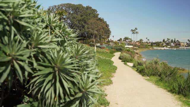 A park, palm trees and the bay in Point Loma.