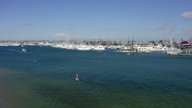 Low aerial view of the harbor, boats and palm trees in Point Loma, with paddlers on the water.