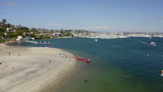 Low aerial view of the beach, boats and palm trees in Point Loma, with paddlers on the water.