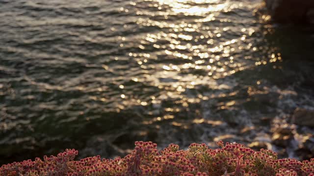 Elevated view of the cliffs, the ocean and open country at Sunset Cliffs.