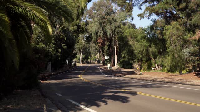 A residential street, palm trees and open country in Rancho Santa Fe.