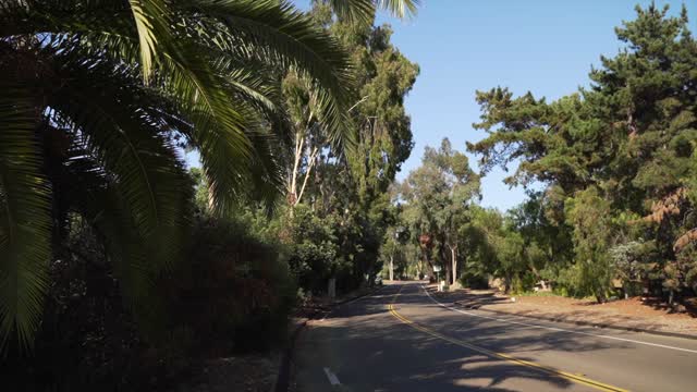 A residential street, palm trees and traffic in Rancho Santa Fe.