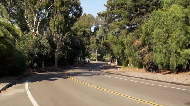 A residential street, palm trees and traffic in Rancho Santa Fe.