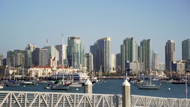 The harbor, the skyline and boats at Waterfront, with boats out.
