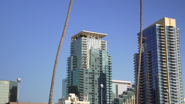 The downtown streets, the skyline and palm trees at Waterfront.
