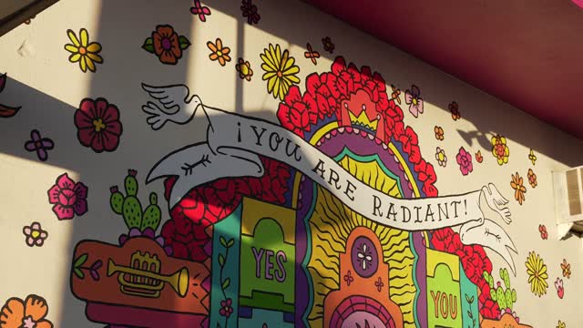 You are radiant painting / wall art / Mural on North Park Way | Video – 2