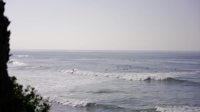 Elevated view of the cliffs, the surf and the ocean at Bird Rock, with surfers out.