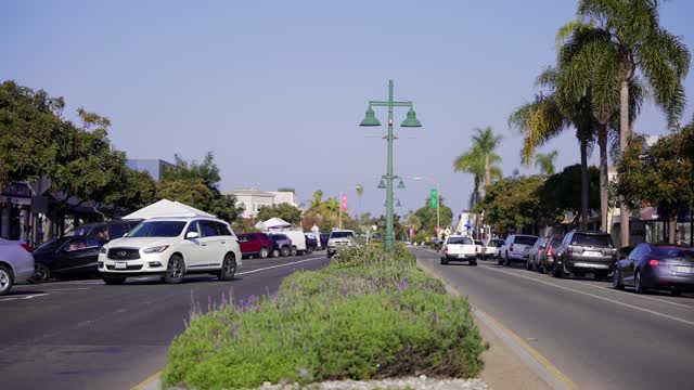 The downtown streets, palm trees and the buildings at Bird Rock.